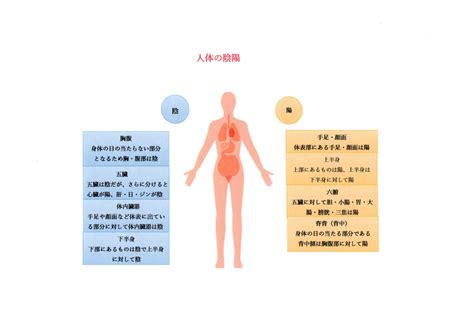 左陰右陽